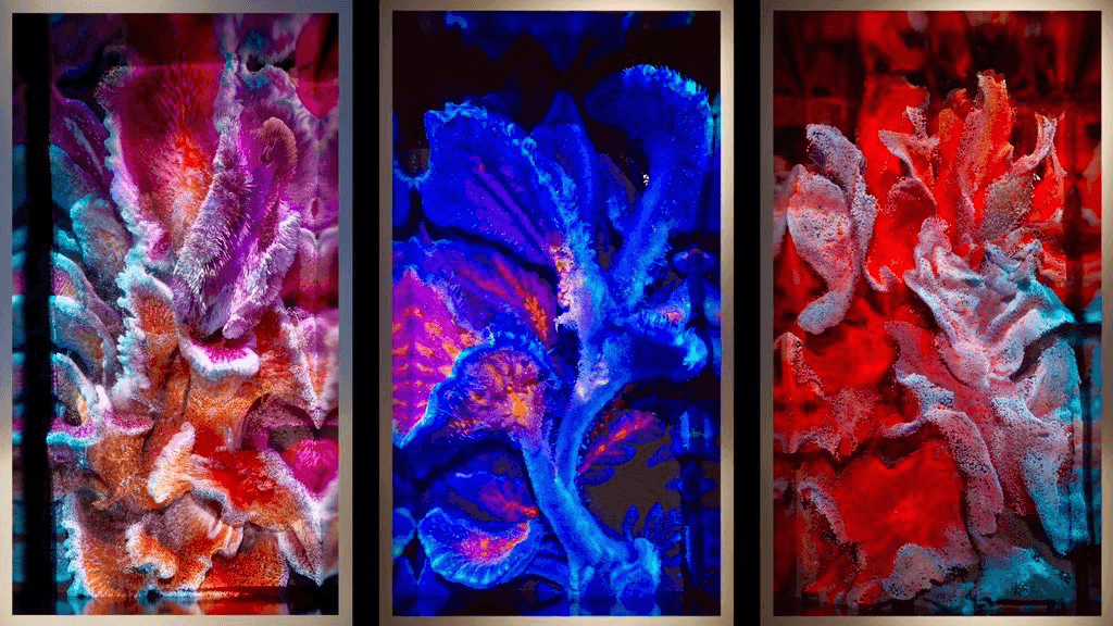 Google I/O Watch Party and Indigenous Digital Art Updates