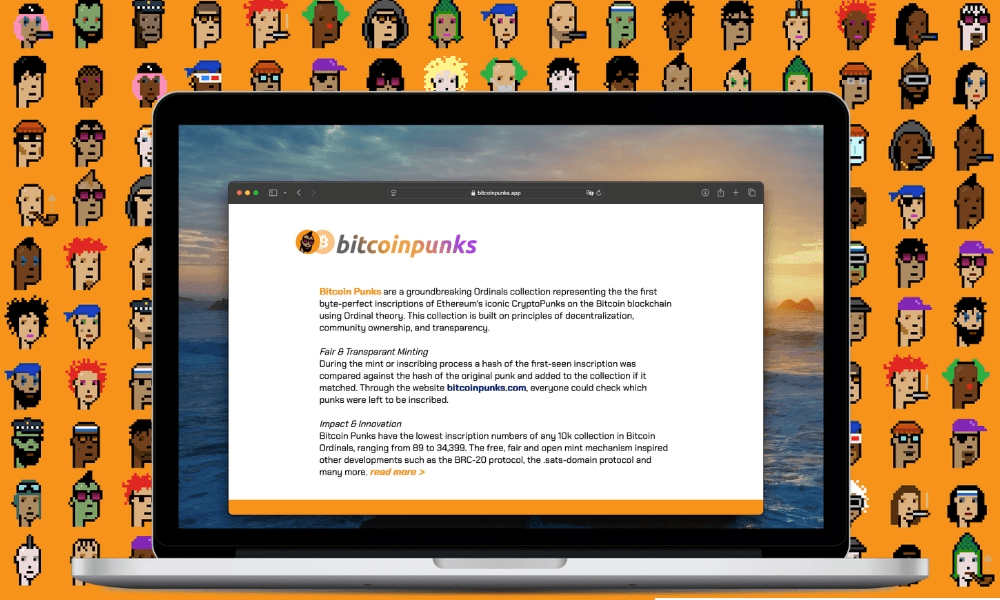 Bitcoin Punks Launches Community Website with Comprehensive Data Tools