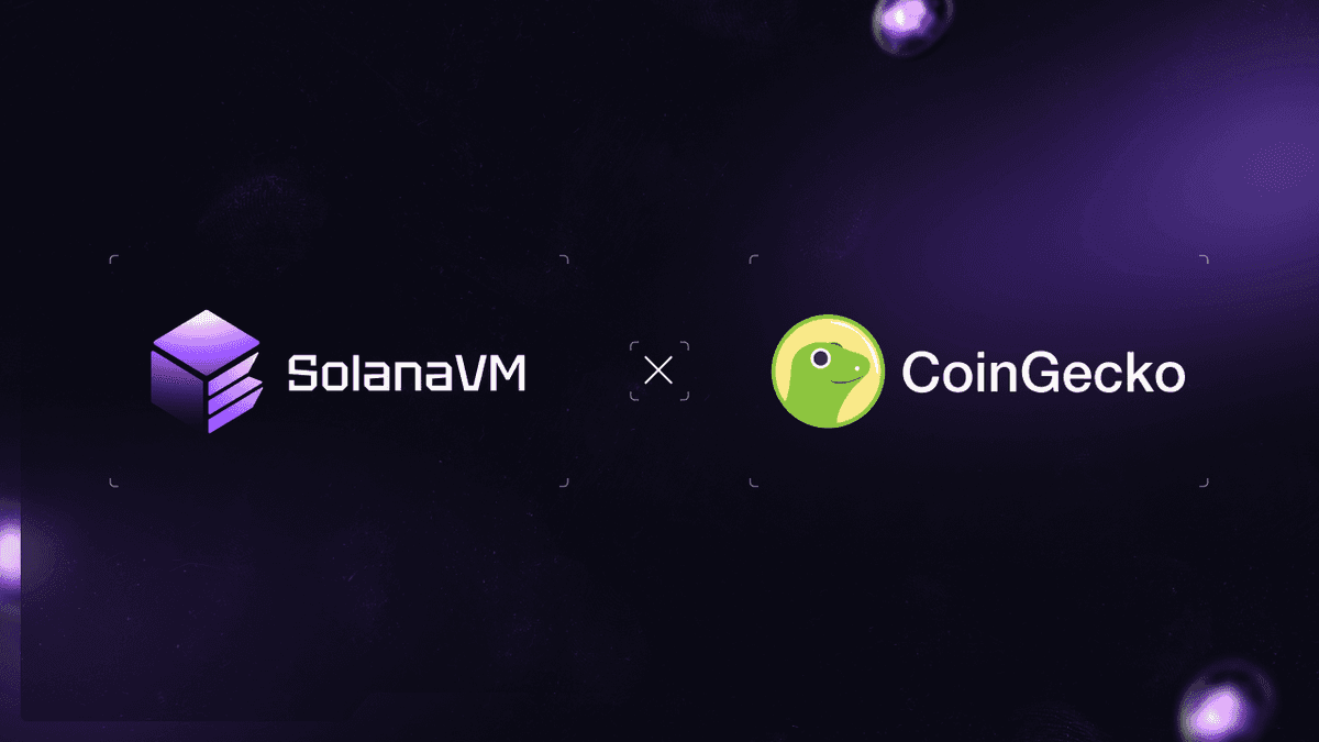 SolanaVM Token Listed on Bybit and CoinGecko