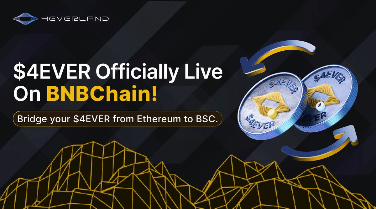 4EVER Token Bridges to BNB Chain via Wormhole