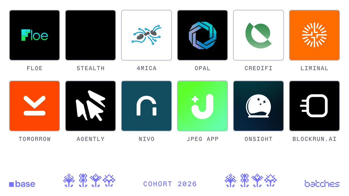 Base Batches Cohort 003 Selects 12 Teams from 1,100+ Applicants
