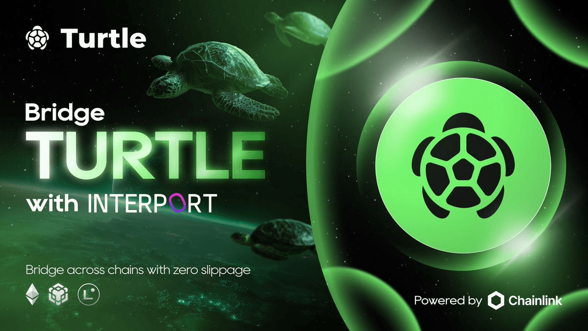 TURTLE Token Now Bridgeable Across Chains via Interport and Chainlink CCIP