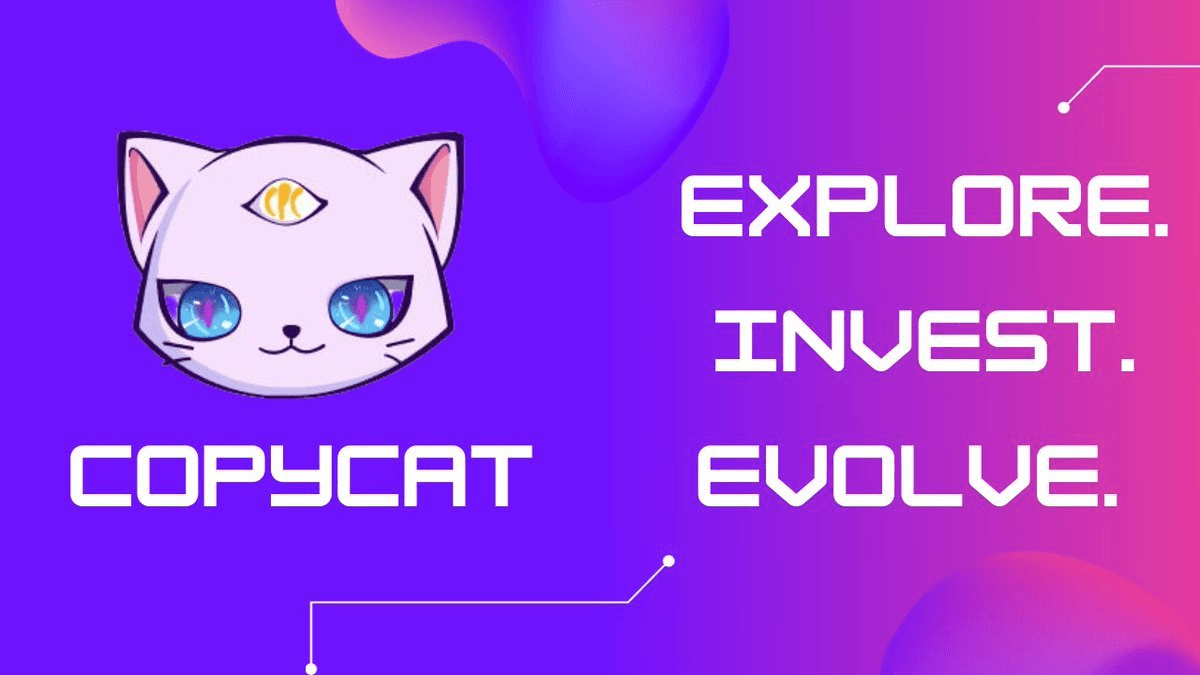 Copycat Finance Introduces Capital-Efficient PVPAMM Model