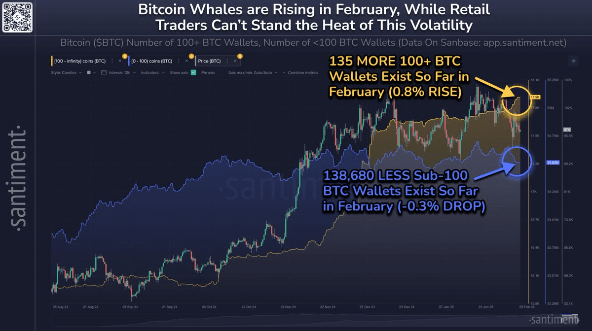 Bitcoin Whales Accumulate While Retail Traders Exit