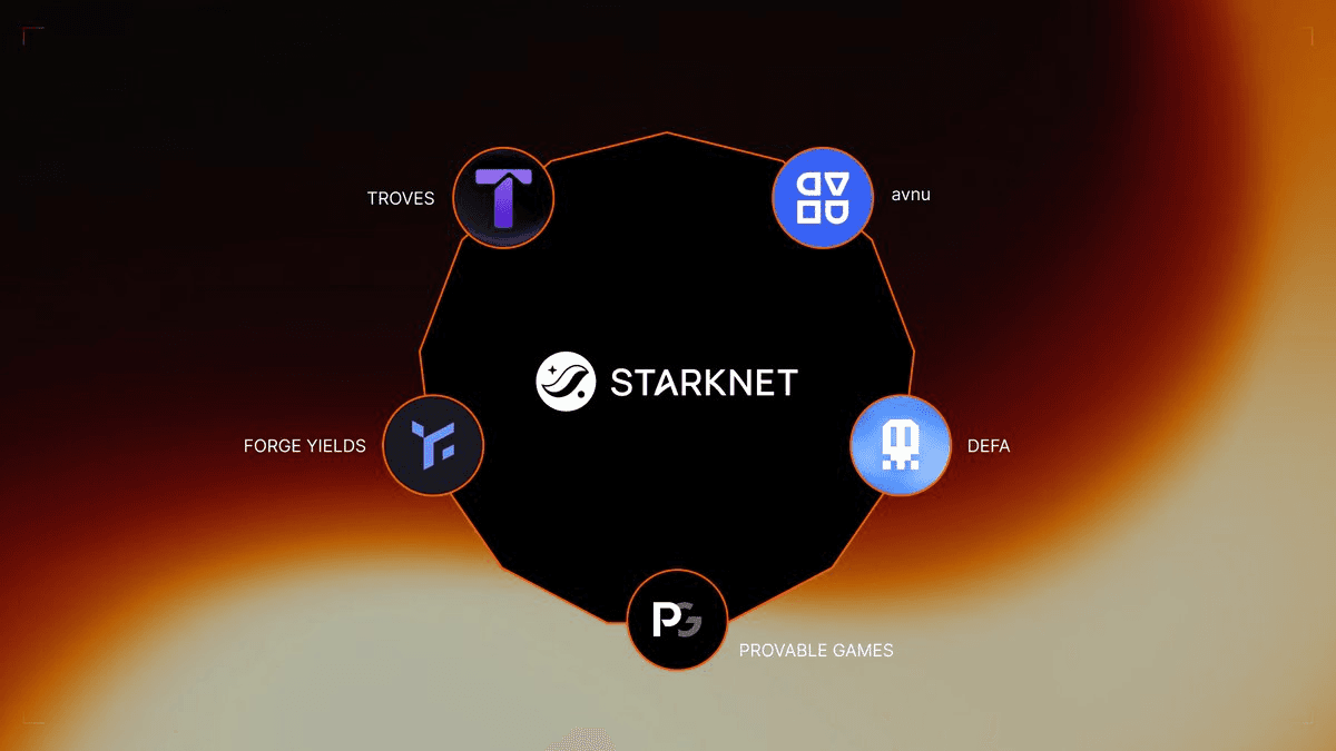 ๐ Privacy Wave Hits Starknet