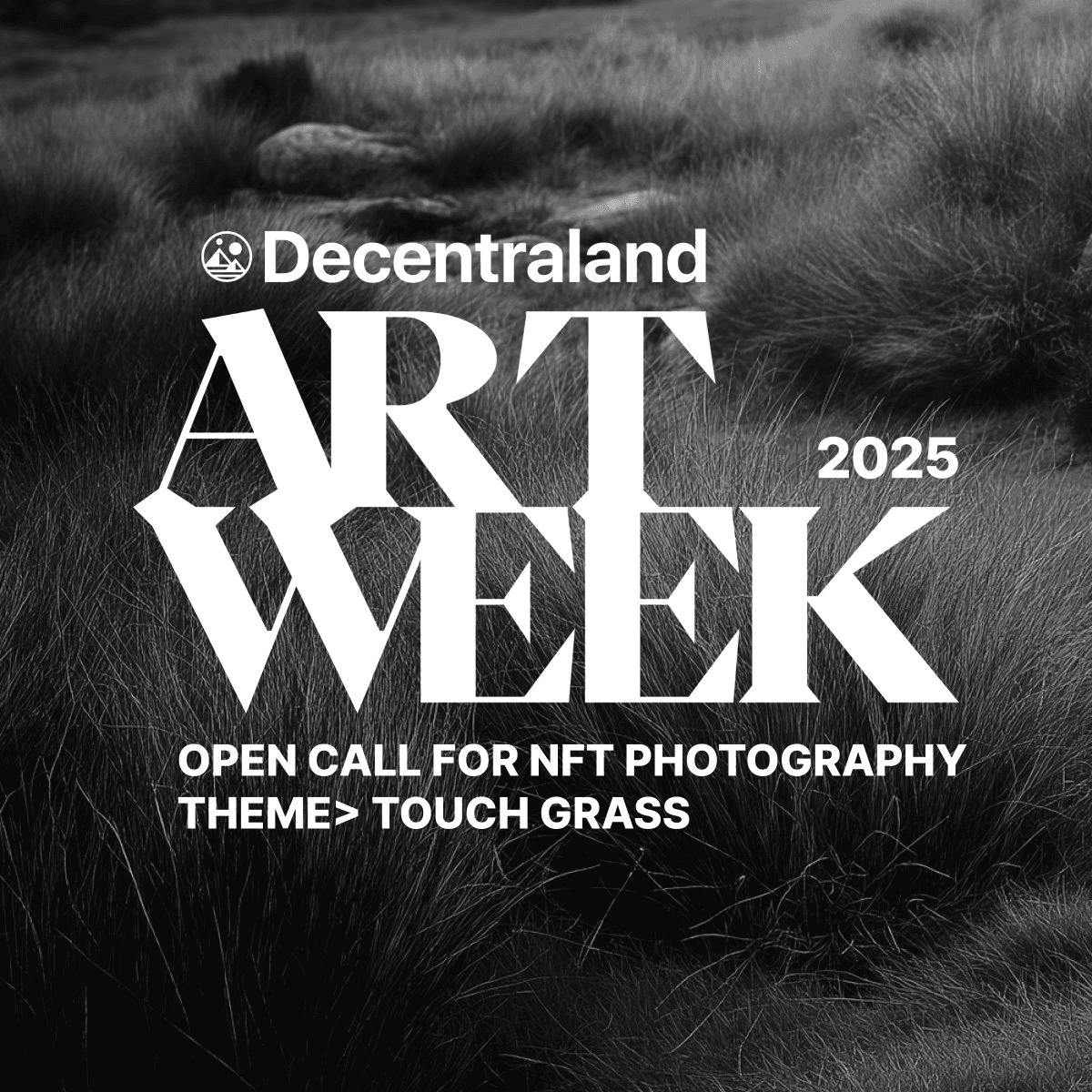 Decentraland Art Week 2025 Selects 20 NFT Photographers