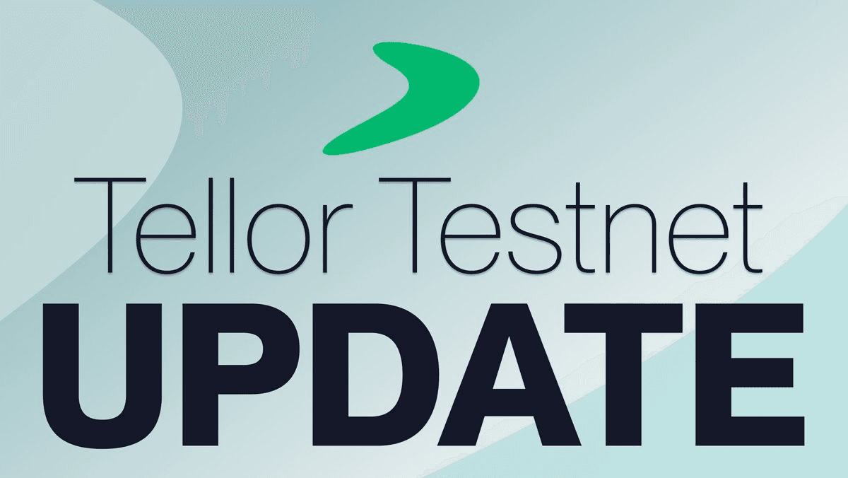 Tellor Palmito Testnet Schedules v6.1.3 Update for February 26th