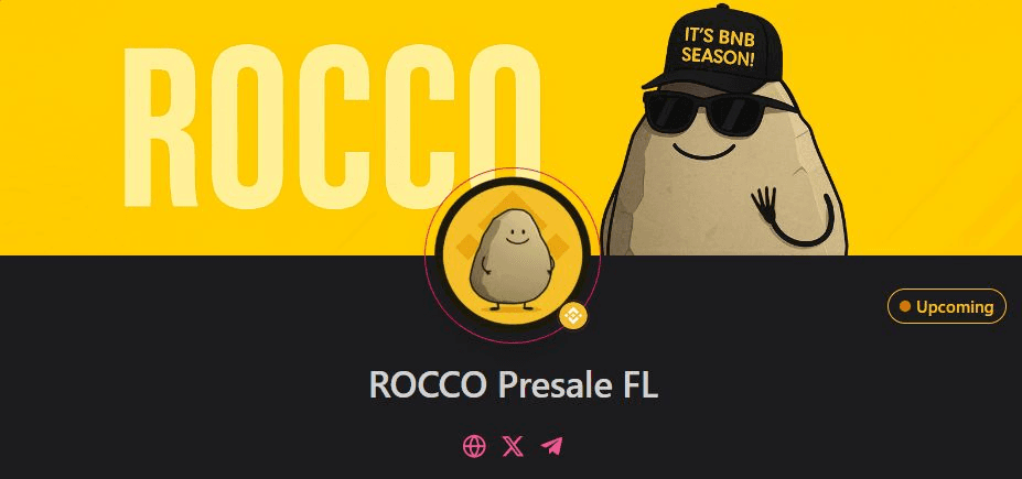 Rocco BNB Launches Public Sale After Private Round Success