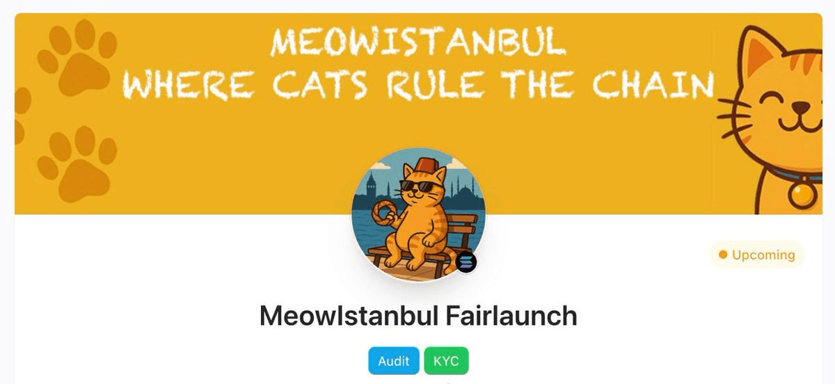 MeowIstanbul Launches Solana Meme Coin on PinkSale