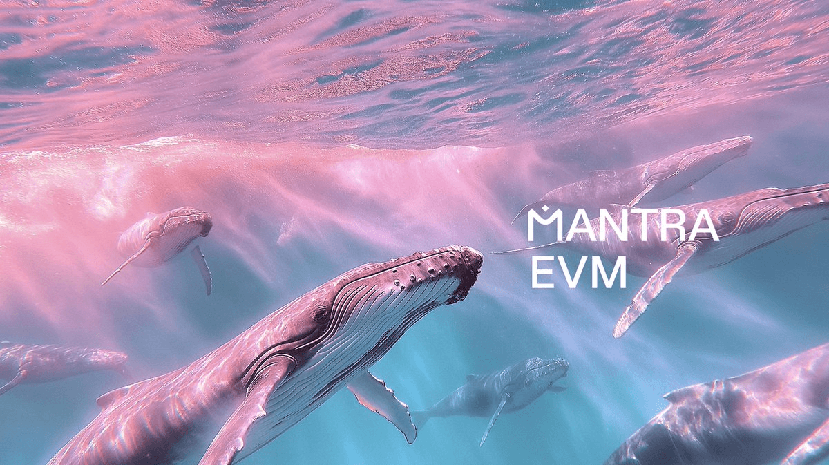 MANTRA Chain Token Migration Deadline Approaches January 15