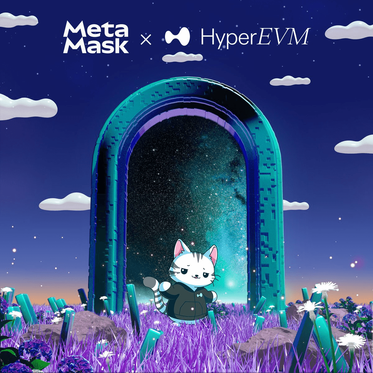 MetaMask Adds Native Support for HyperEVM and MegaETH Networks