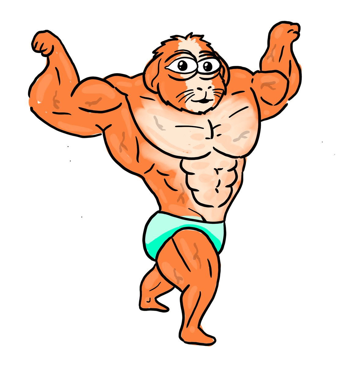 Orange Coded