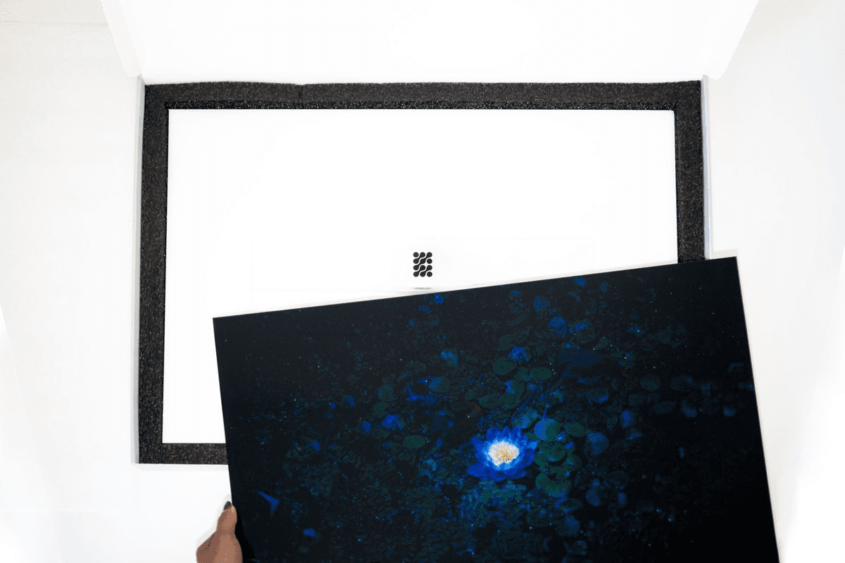 NINFA Explores Material Innovation with Plexiglass Art Releases