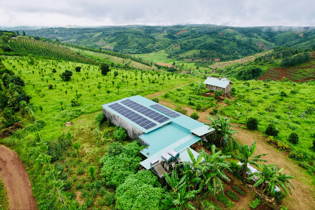 Green Beli Farm Achieves Complete Solar Energy Independence