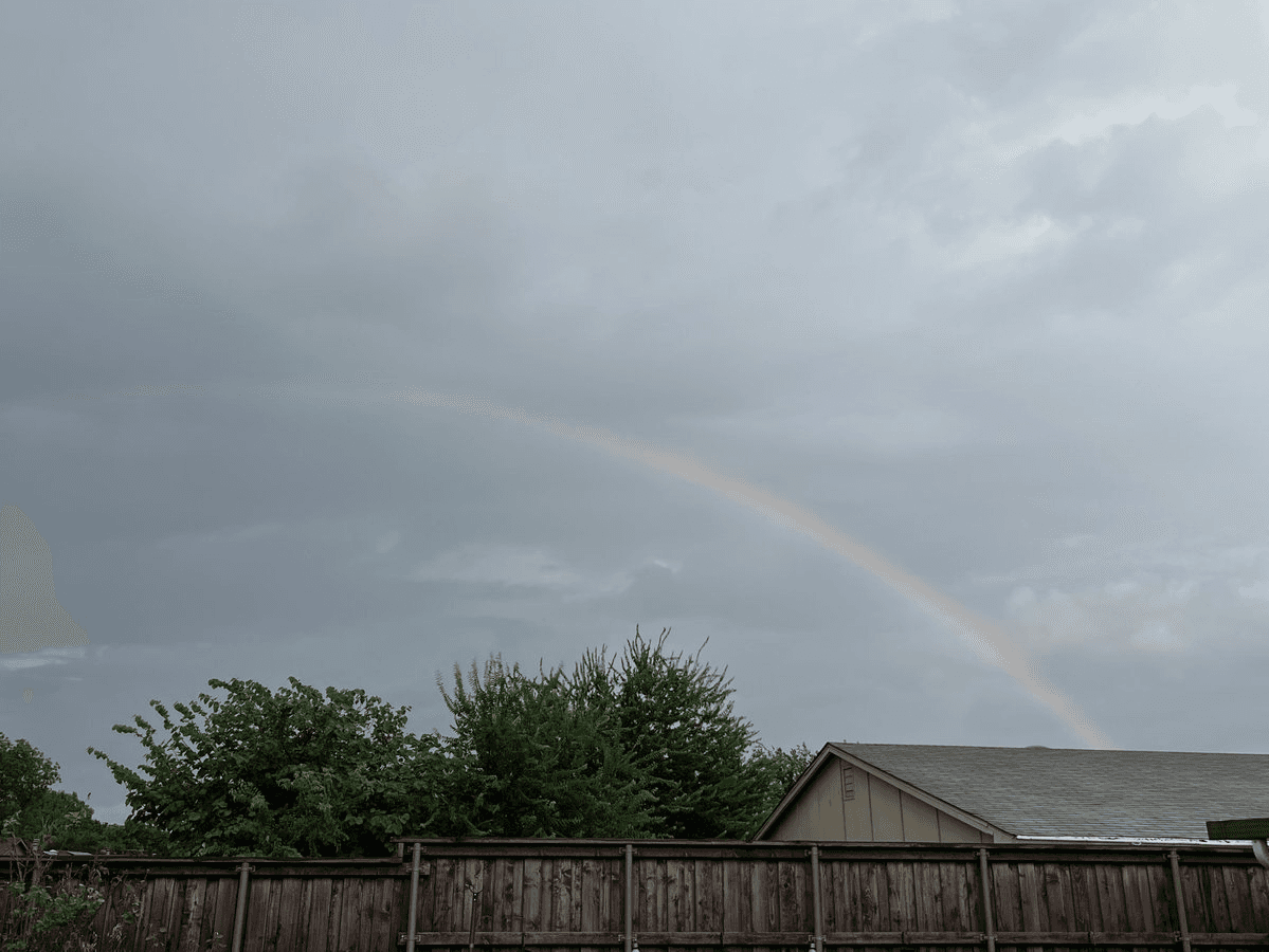 Rainbow Detection Events Continue