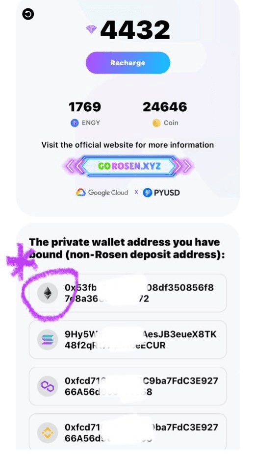 Rosen App Expands with PYUSD Integration and New Blockchain Support