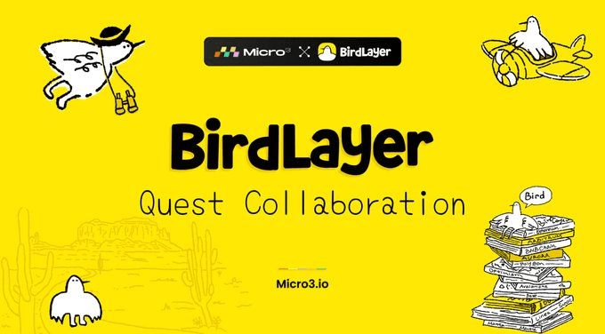 Micro3 Partners with Bird Layer for Cross-Chain Quest