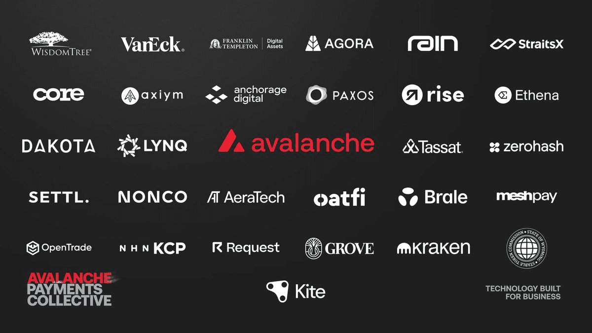 Avalanche Payments Collective Unites 28 Organizations Across 150+ Countries