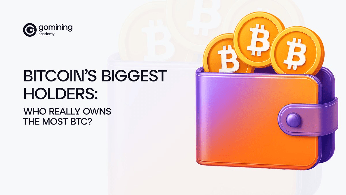 🔍 Bitcoin's Real Owners