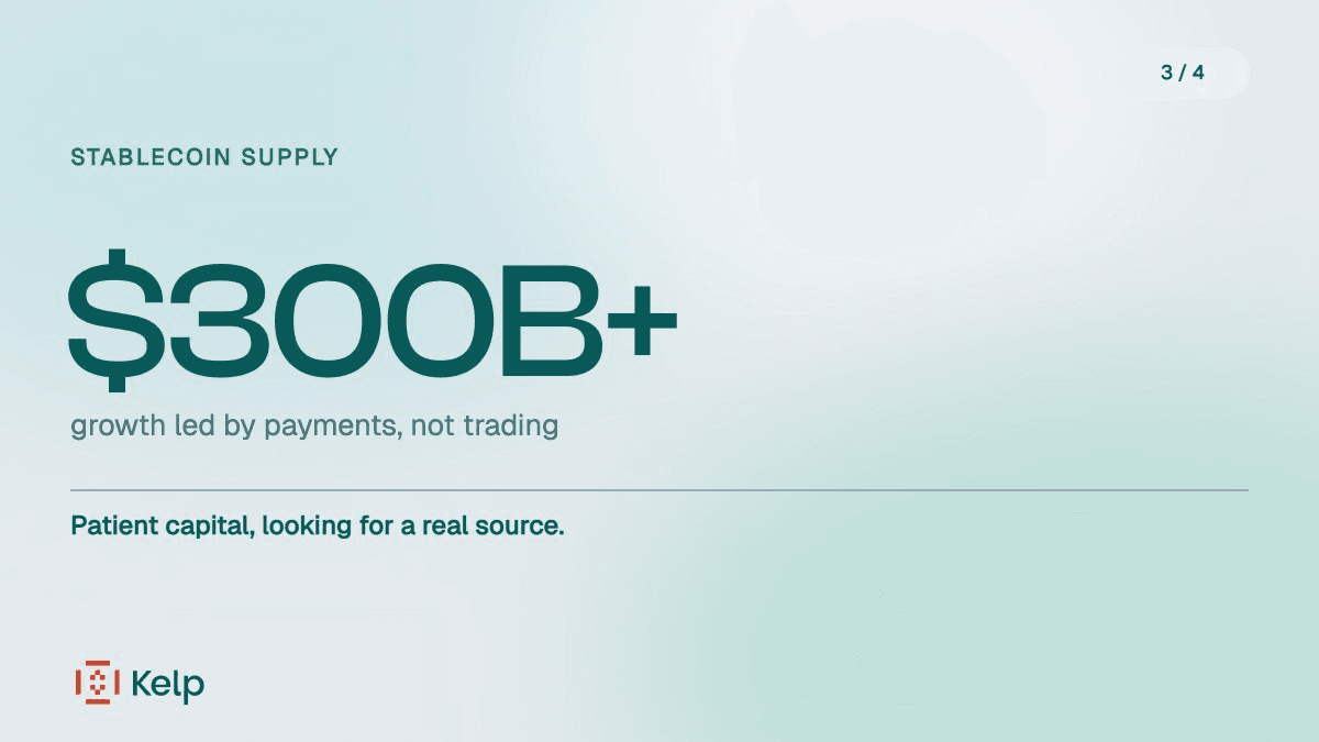 Stablecoin Supply Hits $300B as Use Cases Shift from Trading to Real Economy