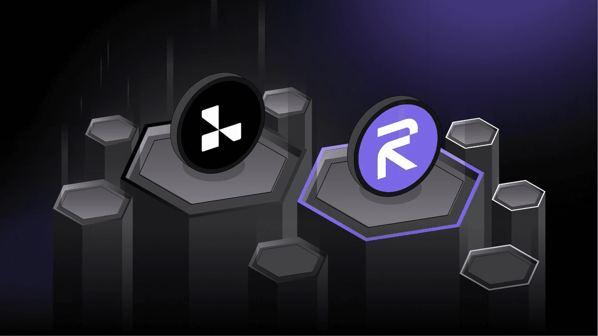 RISE Chain Joins Layer3, Offering Exclusive NFT for Early Adopters