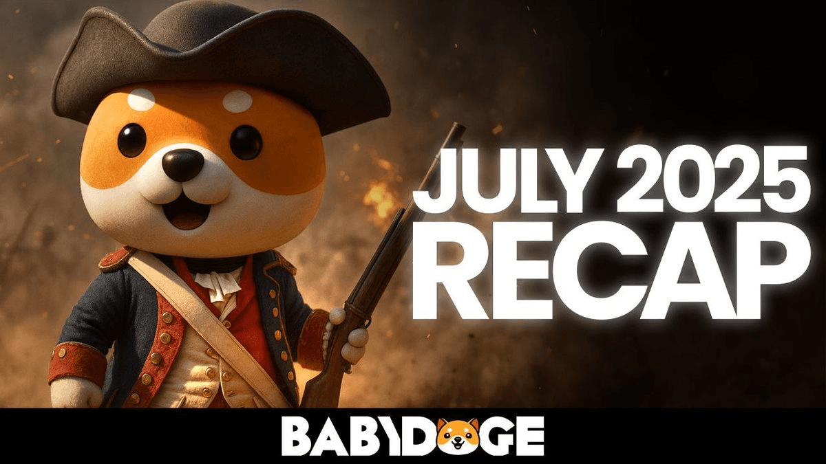 BabyDoge Launches on KrakenPro and Solana with 15M Players