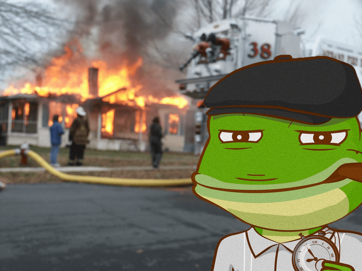 🐸 Frogs Continue Multi-Year Campaign