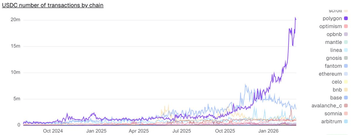 Polygon Leads Transaction Volume as USDC Surpasses 20M Transactions
