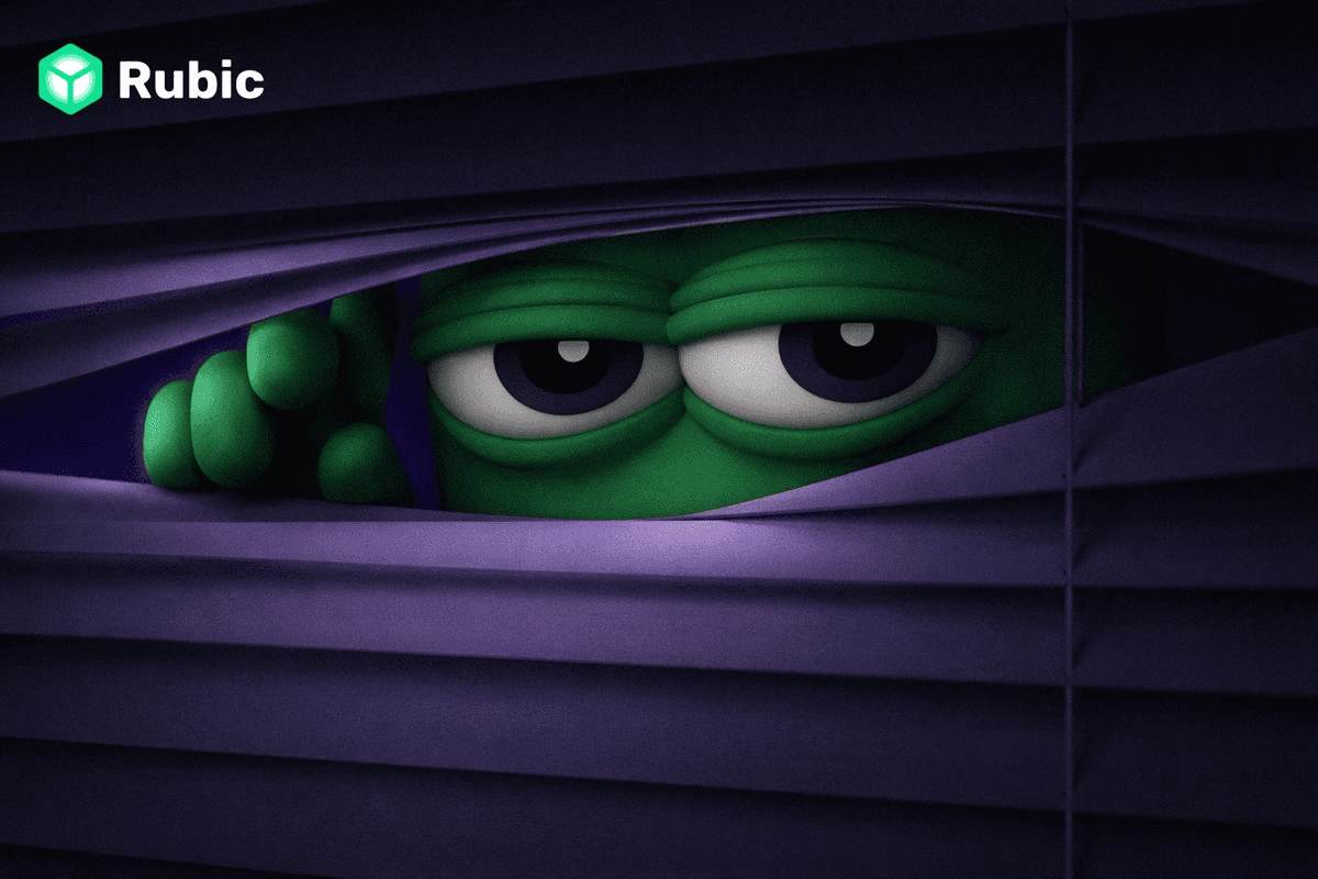 Rubic Teases Major On-Chain Privacy Announcement