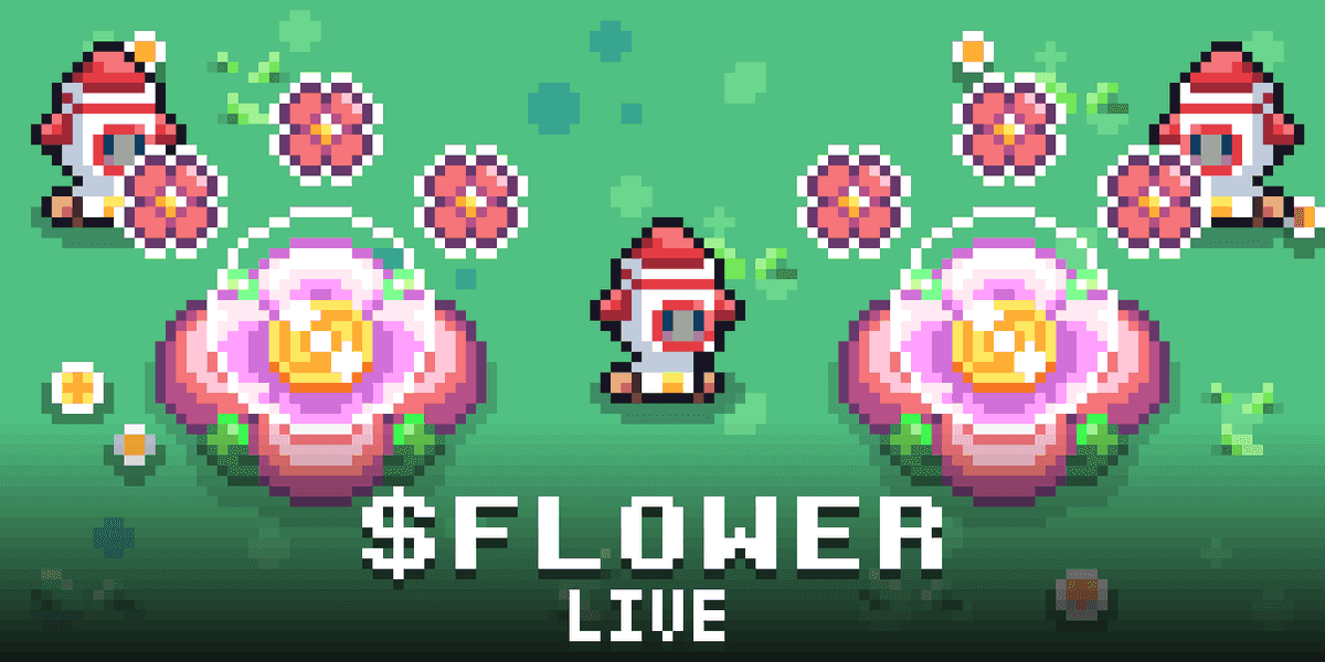 FLOWER ERC20 Token Launch & Trading Update