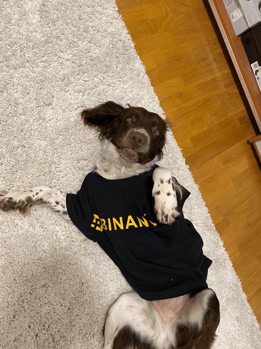 Binance Blockchain Week Registration Still Open