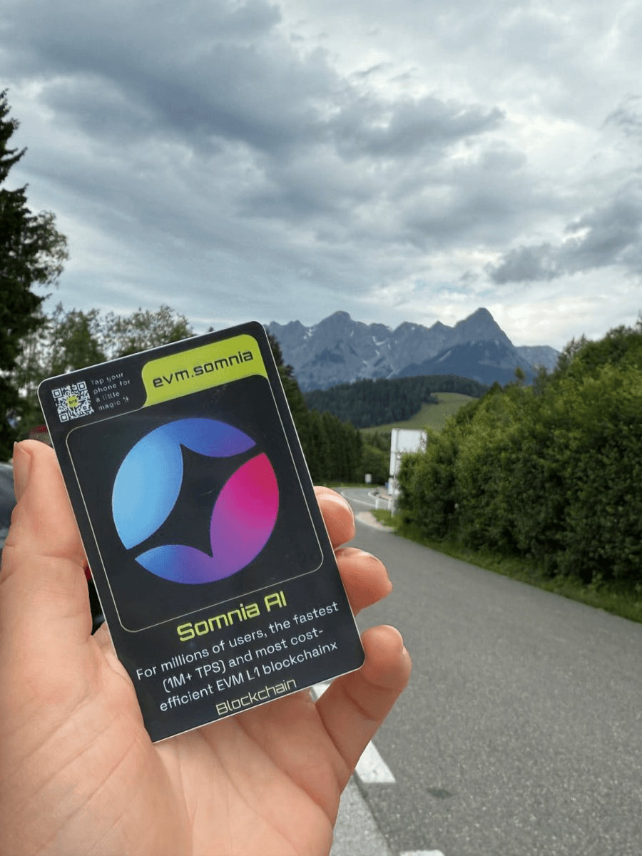 Somnia Domain Service Reaches 54,000 Mints Milestone