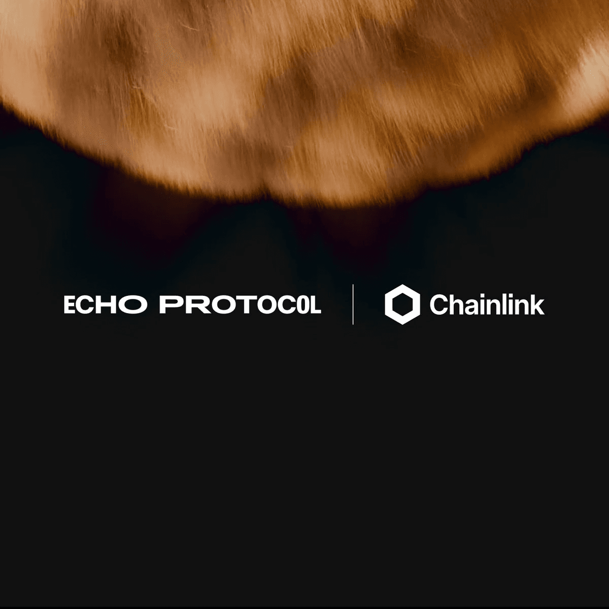 Solv Protocol Launches Secure Exchange Rate Feed for SolvBTC