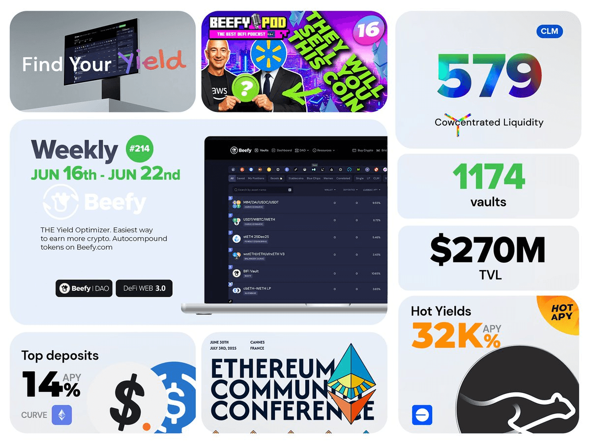 ChainPatrol Renewal Vote Opens at Beefy