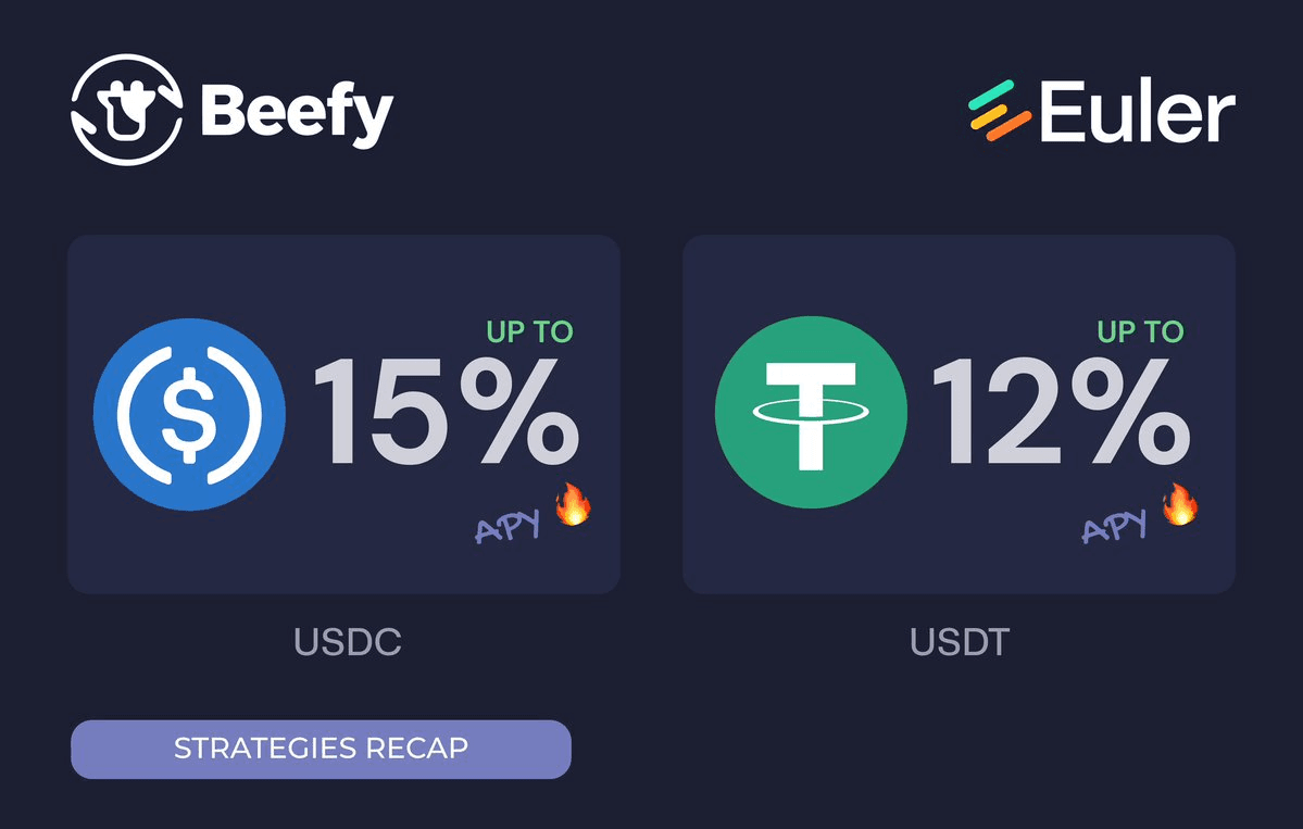 Euler Finance Interest Rate Update