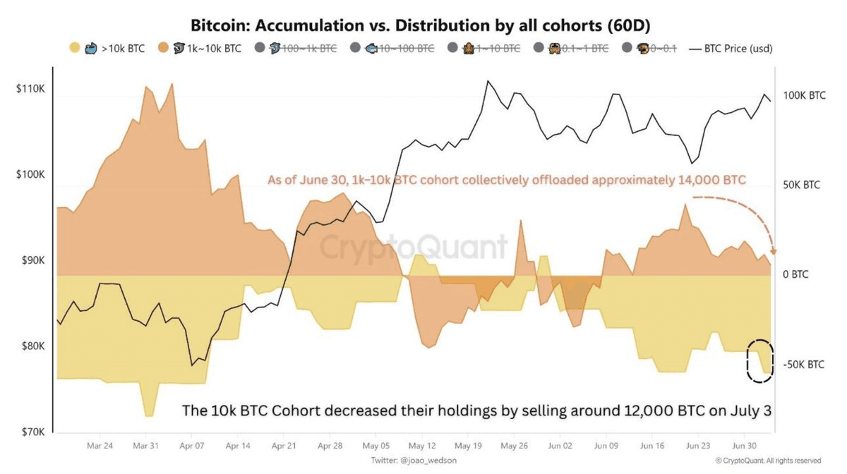 Bitfinex Launches Alpha Report for Professional Traders